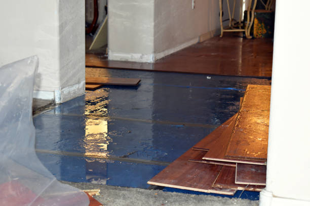 Professional Water Damage technician working in Trufant, MI