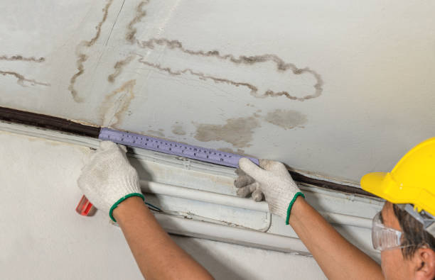 Reliable Water Damage contractor in Trufant, MI by Water Damage Irwin